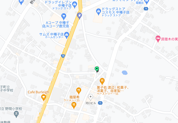 現地案内図